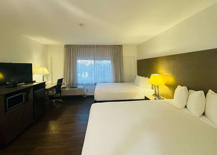 Queen Suite Disability Access