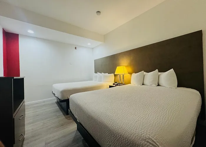 One-Bedroom Queen Suite